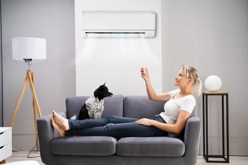 AC Tips for Pet Owners H